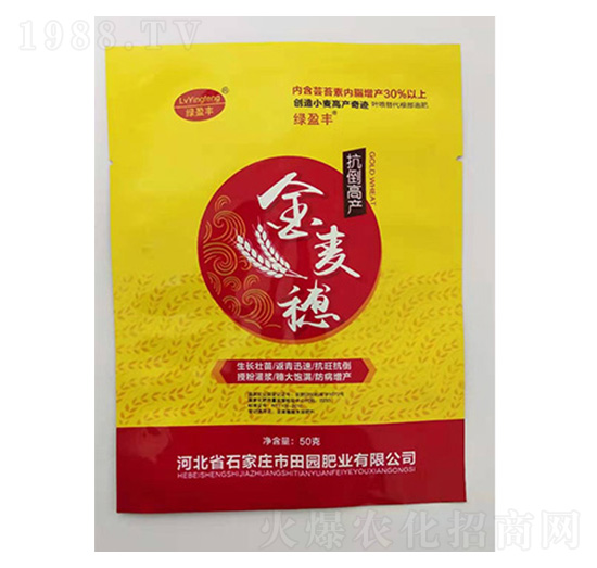 ������-��@�ʘI(y��)