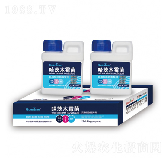 �����(x��)���������ù���ľù��-���v�r(n��ng)�I(y��)