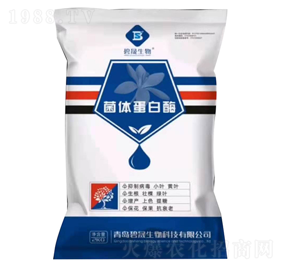 ���w����ø-��������