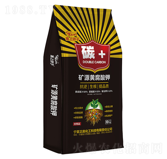 �VԴ�S����� ̼+ ���W����