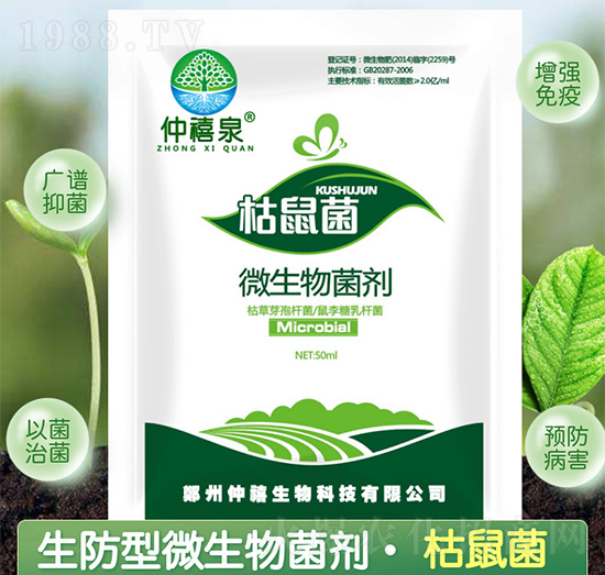 ΢��������������-����Ȫ