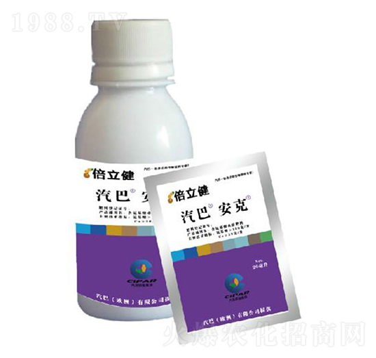 ����-������-�����r�I(y��)