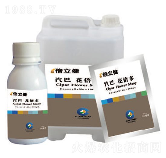 ������-������-�����r(n��ng)�I(y��)