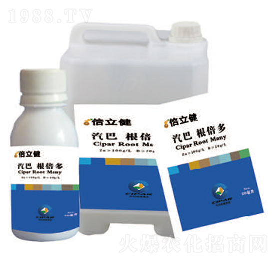 ������-������-�����r(n��ng)�I(y��)