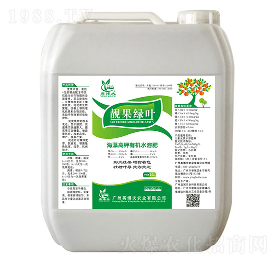 �n���G�~ Ӣ����