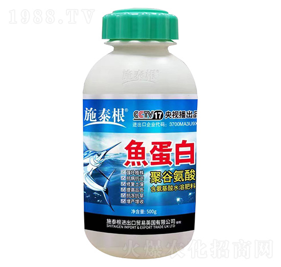 �۹Ȱ����~(y��)����-ʩ̩��