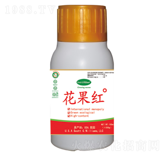 �����t�߹�������ɫ���M(j��n)��-�����t-���A��