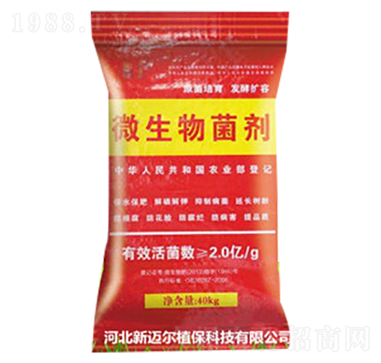 40kg΢�������-���~��