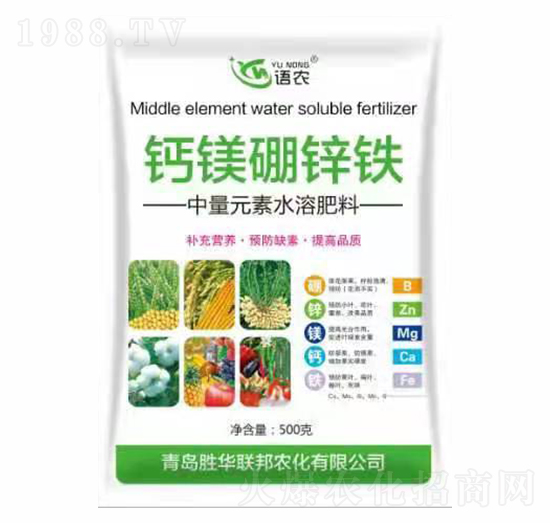 �}�V���\�F-�Z�r(n��ng)-���A(li��n)��