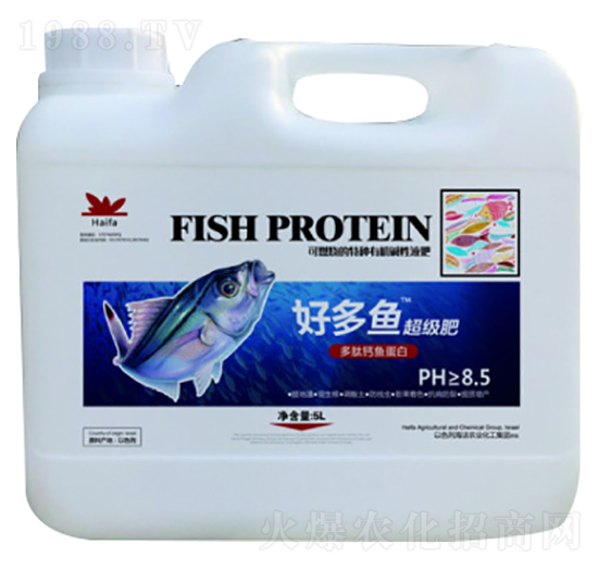 �ö��~(y��)-�ն���