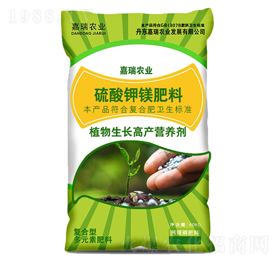 ������V����-�����r(n��ng)�I(y��)