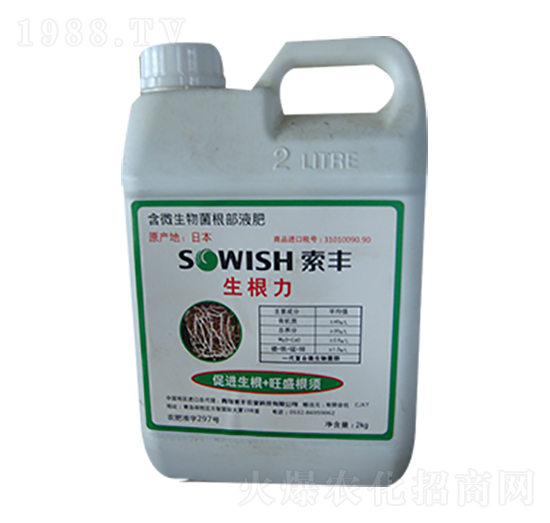 ������-���S