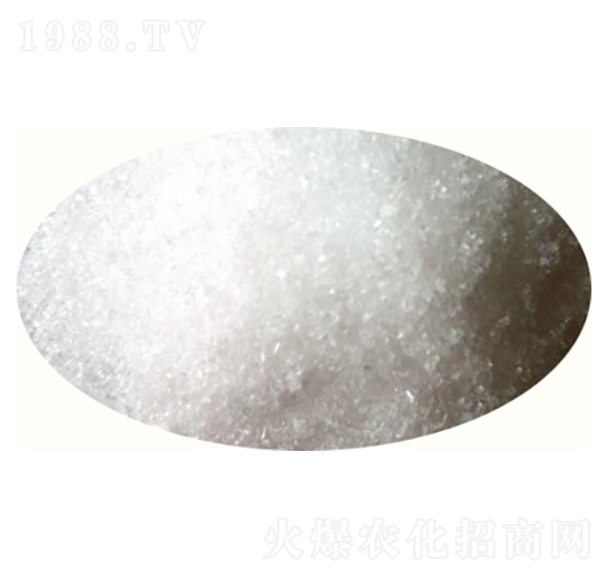 �������⛾��w��-���׶�-�߸�