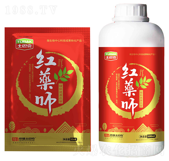 ֲ�｡������-�t�a��-���Ϳ�