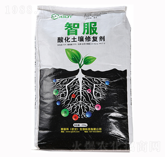 �ữ�����ޏ̈́�-�Ƿ�-ِ����