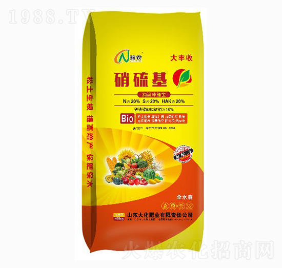 ���������-�󻯷ʘI(y��)