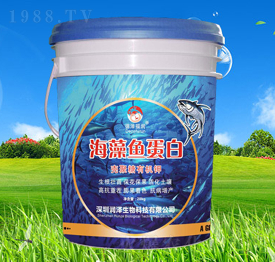 �����~����-��������