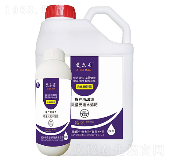 ���w�Ǵ���-������-�P������