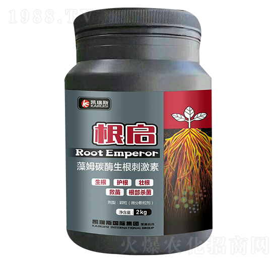 ��ķ̼ø�����̼���-����-�P��˹