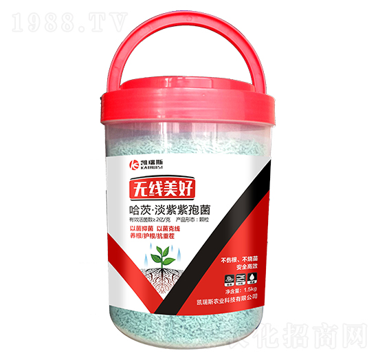 ���ġ��������߾�-�o(w��)��(xi��n)����-�P��˹