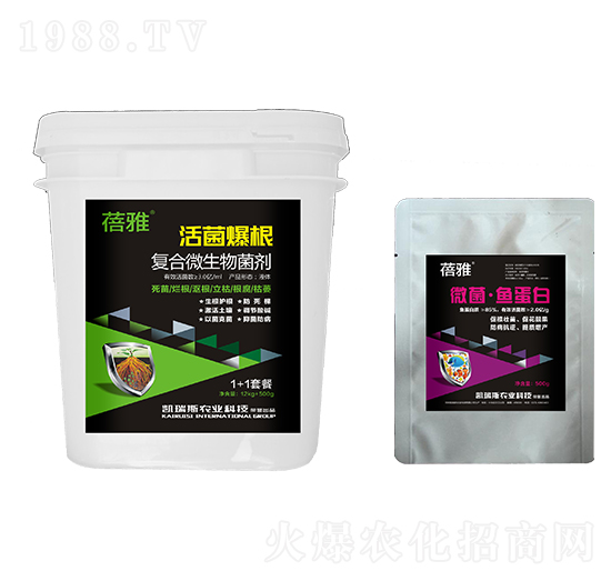 �ͺ�΢�������-1+1�ײ�-�P��˹