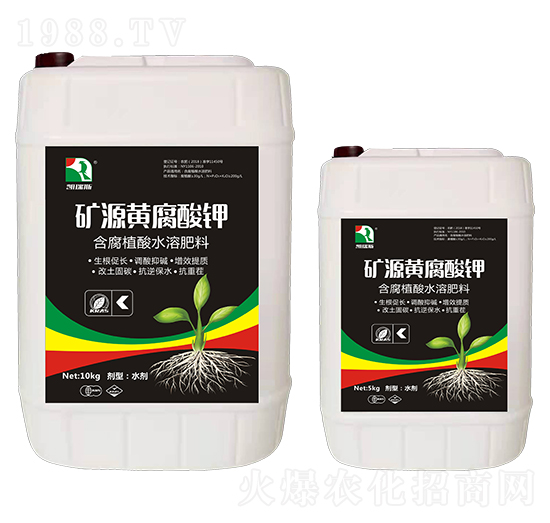 �VԴ�S�����-�P��˹