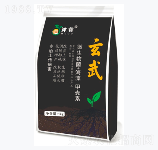 ����������(zhu��n)��-����-�������