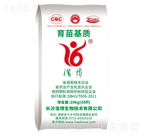 ������|-�Ʋ�����