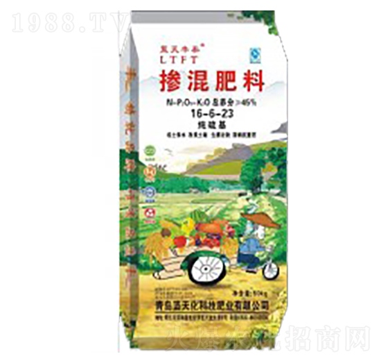 ������������16-6-23-�{���S̩