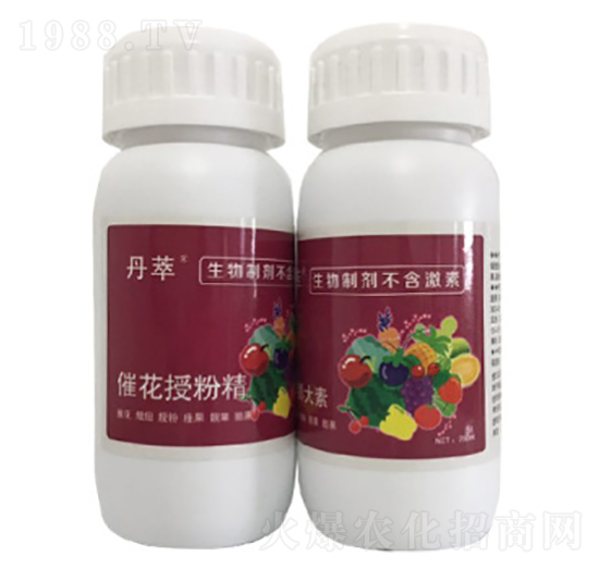 �߻��ڷ۾�-�r����