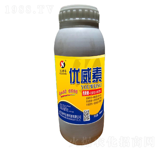 �������������-��(y��u)����-����ţ