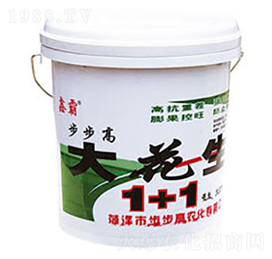 ����1+1-�ΰ�-�����߷ʘI(y��)