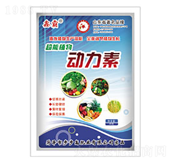 ����ֲ�������-�ΰ�-�����߷ʘI(y��)