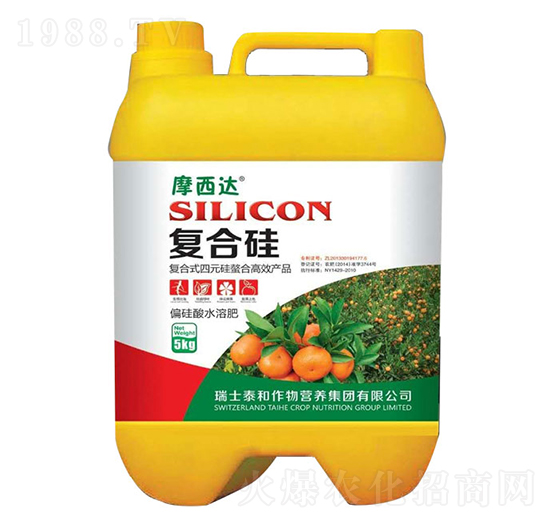 �ͺϹ�-Ħ���_-������r(n��ng)