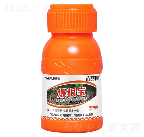 ������-������-�ŷ�