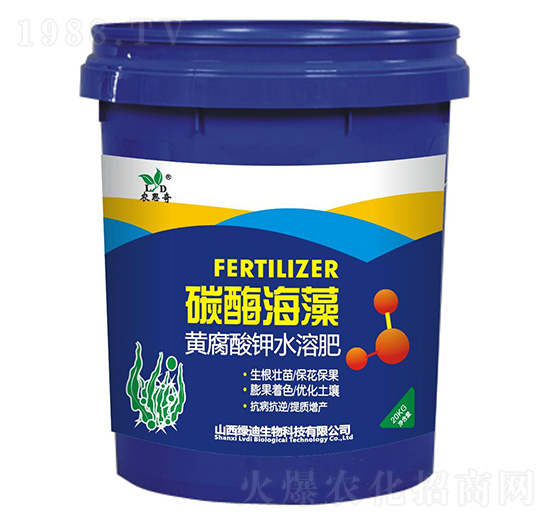 ̼ø����-�G������