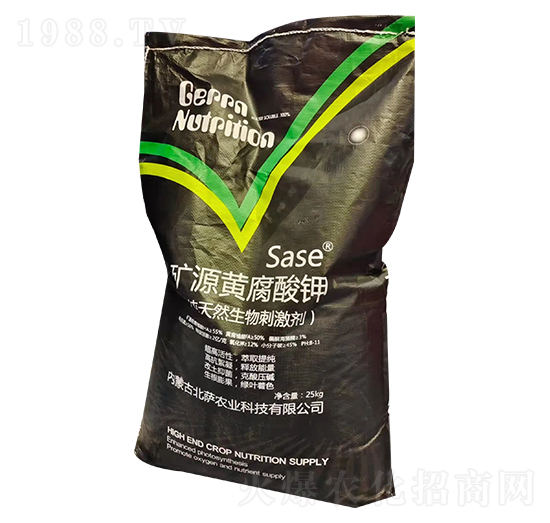 �VԴ�S�����-���_�r�I(y��)