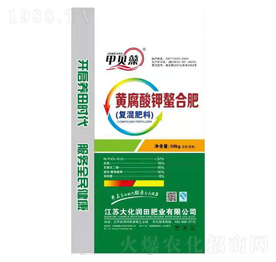 �S��������Ϸ�-��ؐ��-�󻯝���