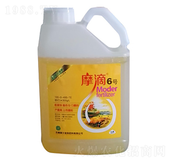 Ħ��6̖-ħ��Һ��