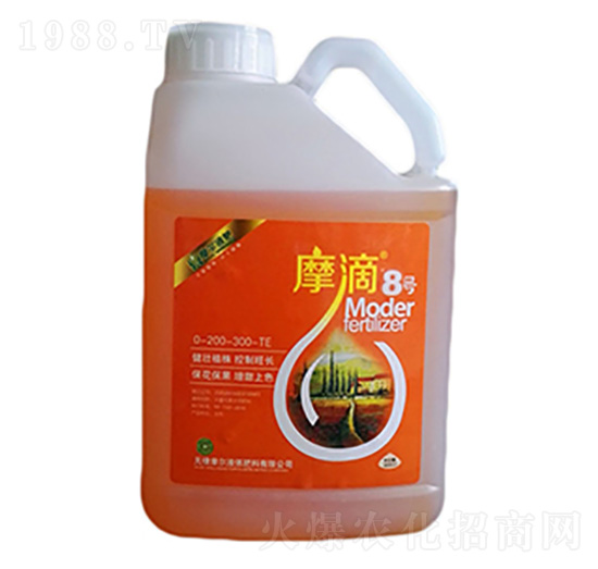 Ħ��8̖-ħ��Һ��