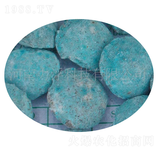 �ؙ������ؘ��-�����Ƽ�