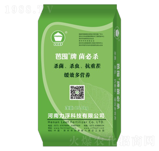 ���ؚ�-�Ŷ�-�����Ƽ�