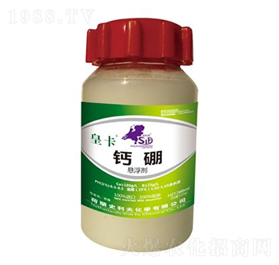 �}��Ҹ���-�ʿ�-ʷ����