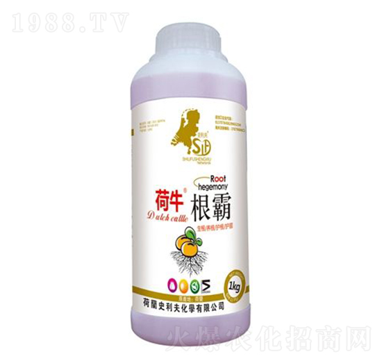 ����-��ţ-ʷ����