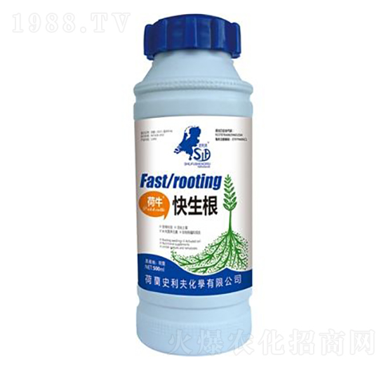 ����������-ʷ����