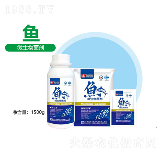 �~΢�������-�S������