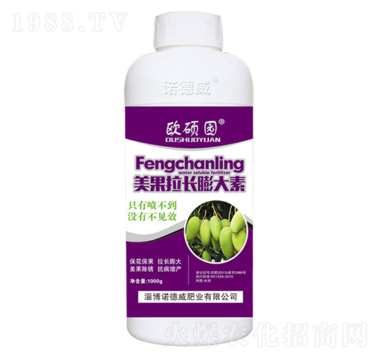 �������L(zh��ng)�����-�Z����