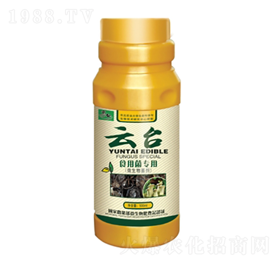 ʳ�þ�����-���_(t��i)