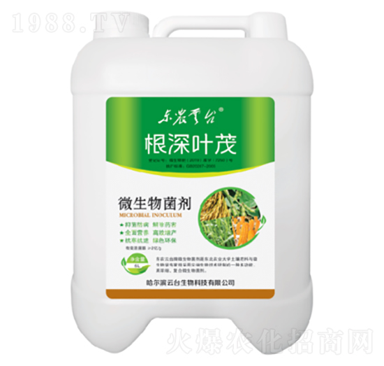 ΢�������-�����~ï-���_