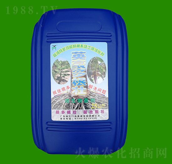 25kg�����-Ӣ��